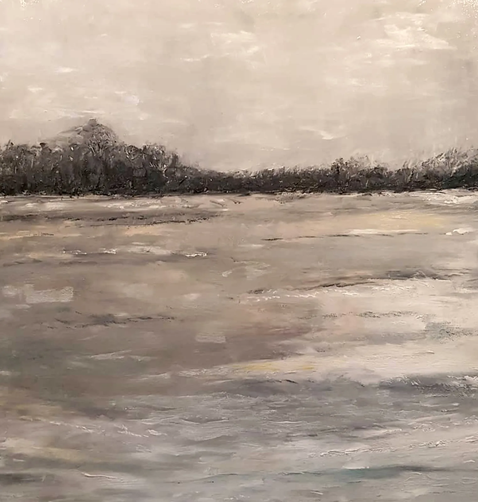 Frogston Fields, Winter