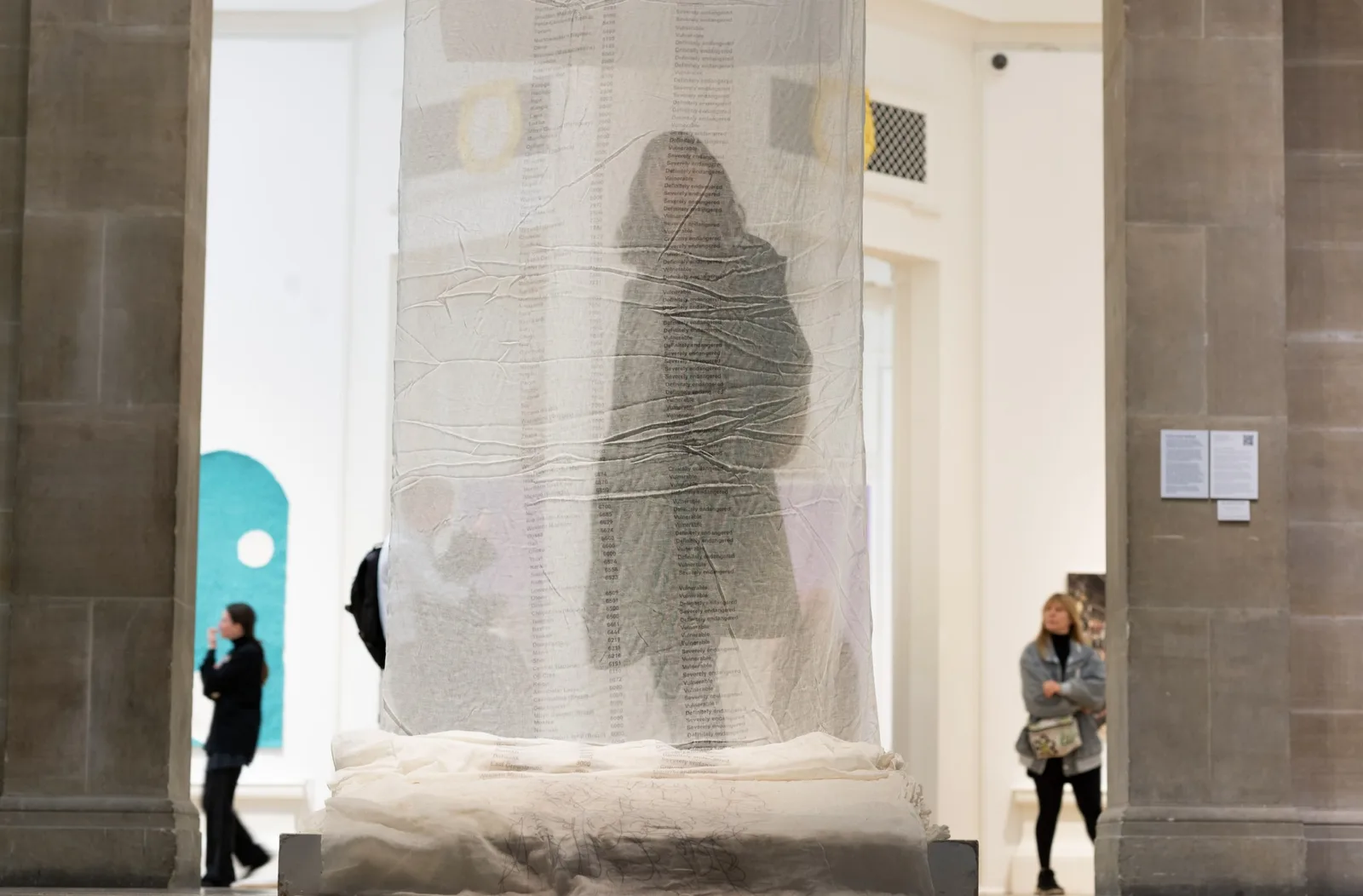 RSA New Contemporaries - Award Winner